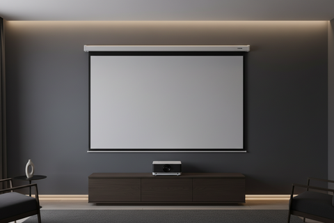 TrueThrow Matte White Projection Screen